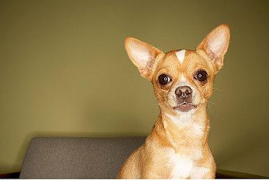 内部人士称《上古卷轴6》也是Xbox（微软）独占